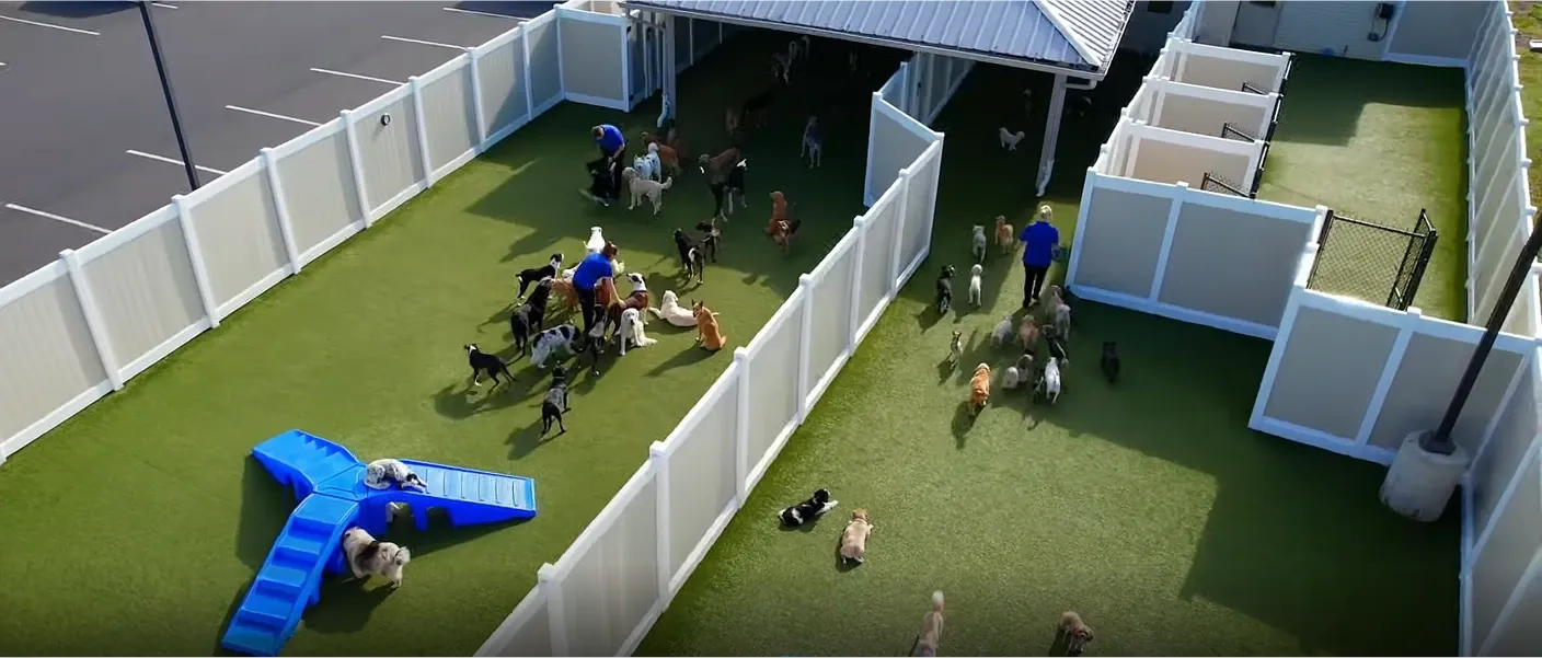 home-like dog boarding Northeast Albuquerque